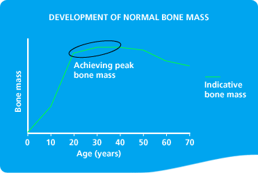 Development of Normal Bone Mass